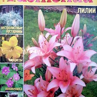 В мире растений-#11(ноябрь)-2006-Княженика