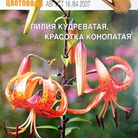 Вестник цветовода-Август 16 (84)-2007-Гидропоника глазами фитодизайнера_1.jpg