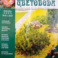 Вестник цветовода-июнь 2005-#6 (34)-В поисках райского сада-Мой сад начался с подоконника