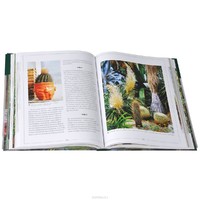 komnatnoe-cvetovodstvo-bolhai-illustrirovannai-enciklopedii-3.jpg